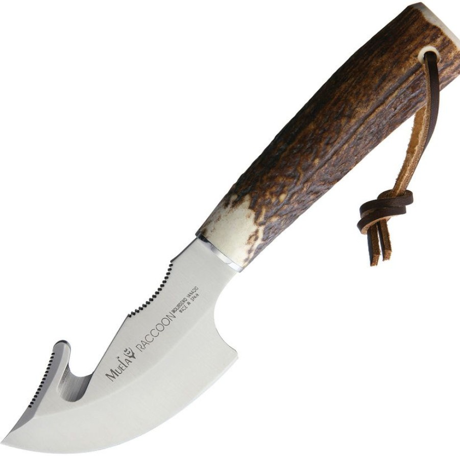 * Tendy Style Mue90723 Muela Raccoon 8A Fixed Blade Knife